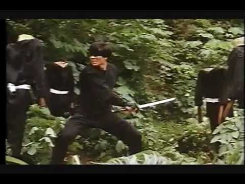 9 Deaths of The Ninja: Ninja Challengue