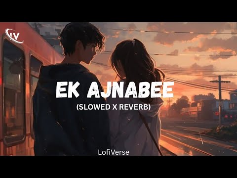 𝐒𝐡𝐞𝐭𝐮 𝐌𝐚𝐣𝐮𝐦𝐝𝐚𝐫 - 𝐄𝐤 𝐀𝐣𝐧𝐚𝐛𝐞𝐞 (𝐒𝐥𝐨𝐰𝐞𝐝 & 𝐑𝐞𝐯𝐞𝐫𝐛) | 𝐒𝐨𝐜𝐡𝐚 𝐧𝐚𝐡𝐢 𝐭𝐡𝐚 𝐚𝐞𝐬𝐞 𝐦𝐢𝐥𝐨𝐠𝐞 | LofiVerse