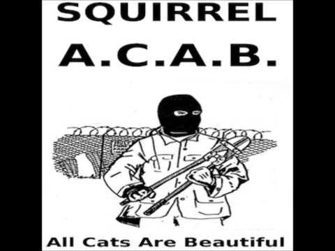 Squirrel - ALF (Animal Liberation Front)