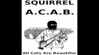 Squirrel - ALF (Animal Liberation Front)