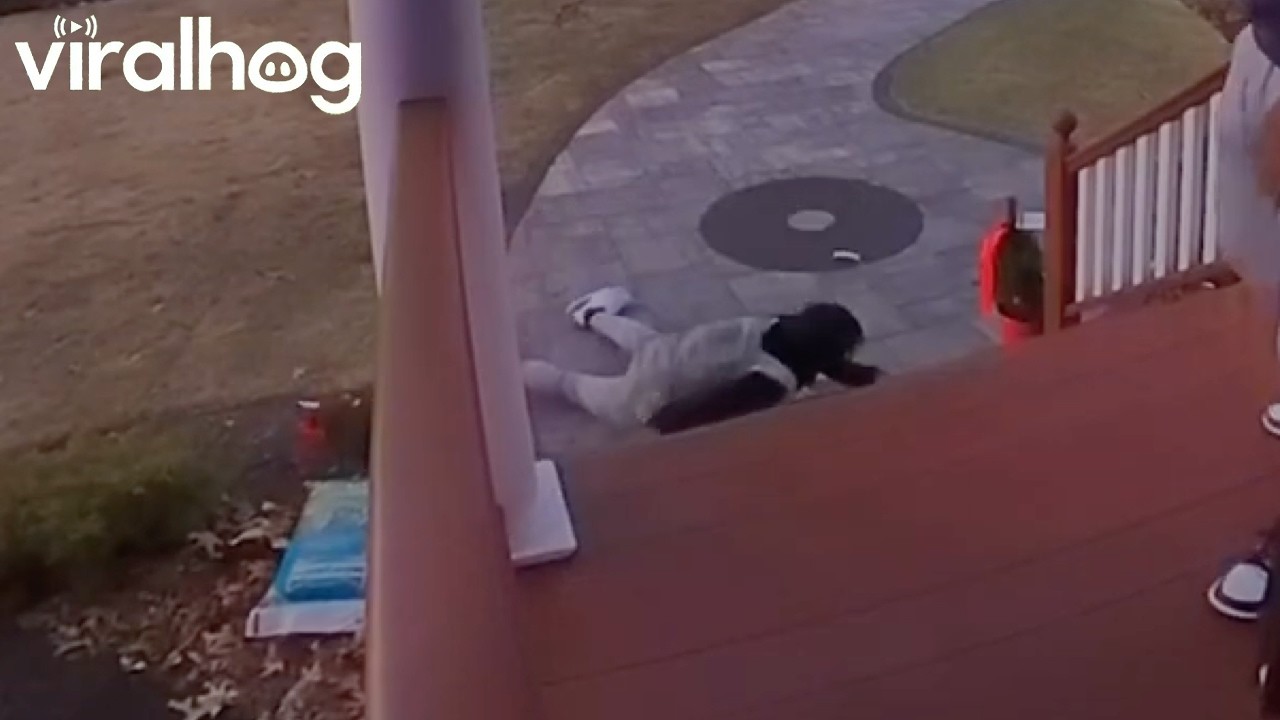 Brothers Keep Slipping on Slick Steps || ViralHog