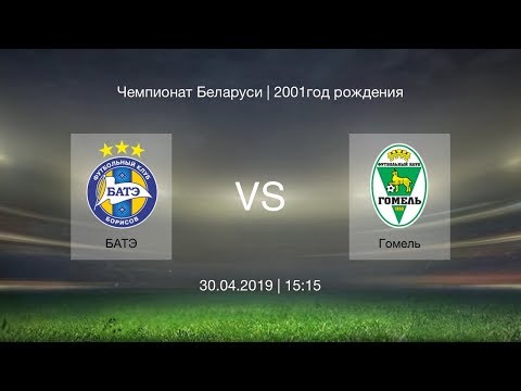 БАТЭ - Гомель / 2001.