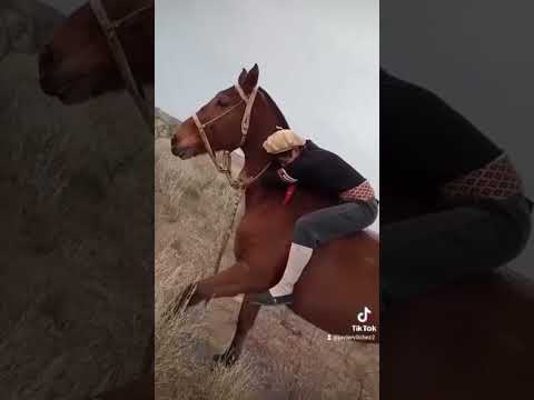 Los Gauchos se Divierten #gaucho #campo #caballos #short #subscribe