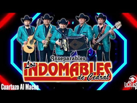 Los Indomables De Cedral - Cuartazo Al Macho ♪ 2020