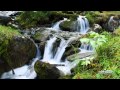 Babbling Brook Water Stream Soundscape Full 60 Minute Track
