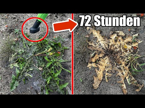 Die BESTE Lösung gegen Unkraut💥(Patentierte Unkrautvernichtung)🤯
