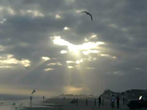 Biển vắng Sheet - Quang Dũng