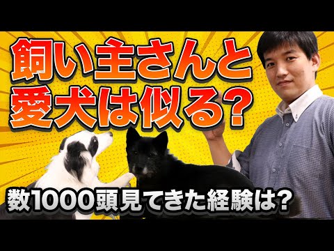 犬は飼い主に似るって本当ですか?