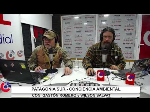 Patagonia Sur - Conciencia Ambiental. Adriana Galvez-Wilson Salvat- Gastón Romero Programa 10-2026