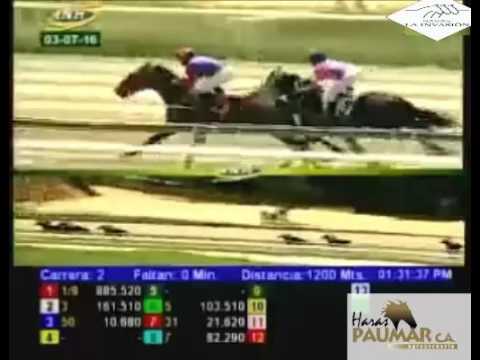 LA RINCONADA 2 CARRERA, DOMINGO 03 DE JULIO DEL 2016