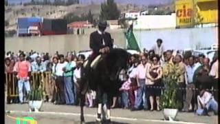 preview picture of video 'Exhibición de caballos Feria de Albox (Almería) 30/10/1994'