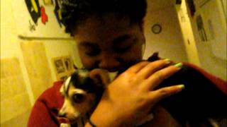 Home once again |^-^|