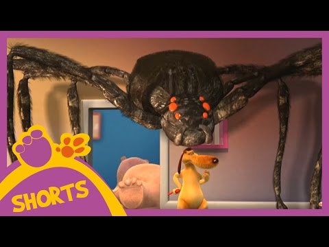 Pat and Stan |  Super Big Spider (short)