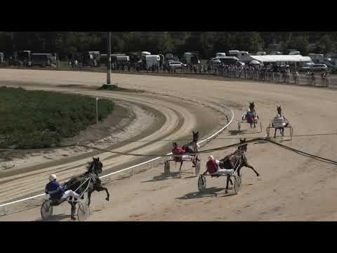 Trka "Konjički klub Vojvođanin-Sombor” 29.08.2020 Tagora - Miodrag Pantić