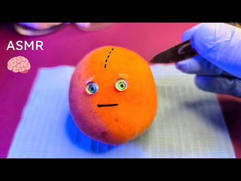 ASMR Apricot Brain Surgery 🔪🧠 | Relaxing Lobotomy 