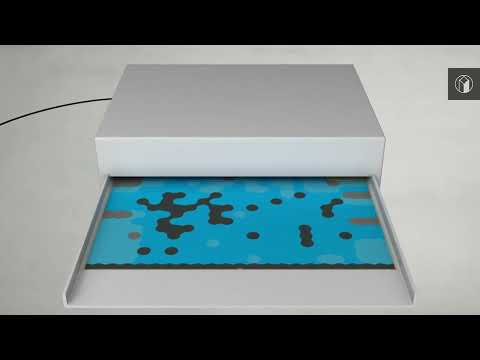 DZL|plate | Animation