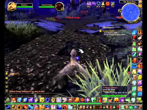 WoW MoP quest - Compy Stomp