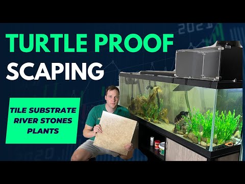 TURTLE PROOF SCAPING! - Tile Substrate, Low Maintenance, Looks AMAZING!