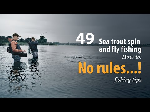 How to • Sea trout - Spin and fly fishing • No rules...! • fishing tips
