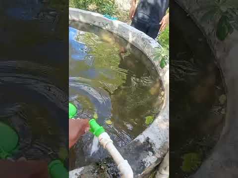 VENDO SÍTIO,20 HECTARES.  150.000 MIL MUNICÍPIO DE FRUTA DE LEITE MG. TEM CONDIÇÕES DE PAGAMENTO 