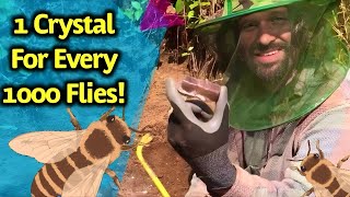 Digging for Crystals &amp; Gems in Canada while Huge Bugs fly all around!