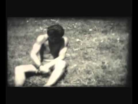 Collection #1a (video)