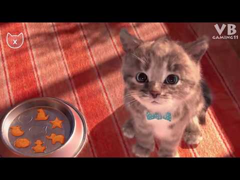 Educación|Lindo Gatito Aventuras|Aprende Colores