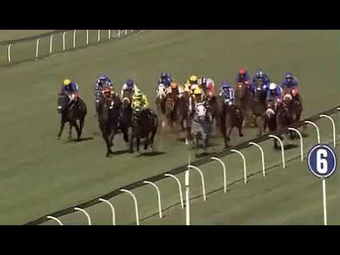 2019 Senor Santa - MARDI GRAS