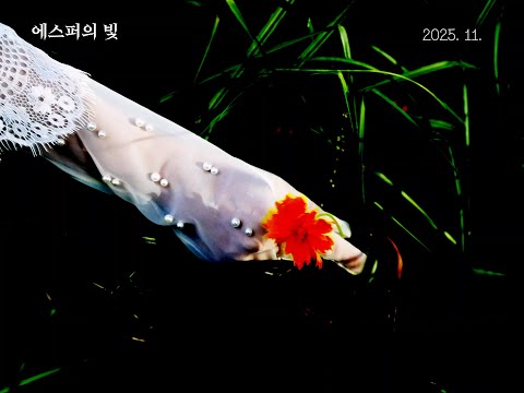 [에스퍼의 빛] 리뷰 예고편