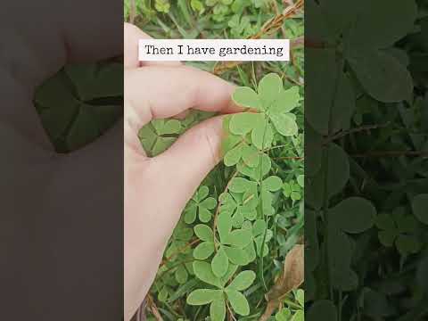 day in the life of a fairy in training ✨🌾⭐