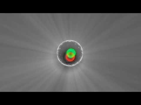 download lagu mp3 mp4 Atlas Vb, download lagu Atlas Vb gratis, unduh video klip Atlas Vb