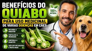 DICAS DE PREPARO DO SUCO DE QUIABO MILAGROSO PARA CÃES