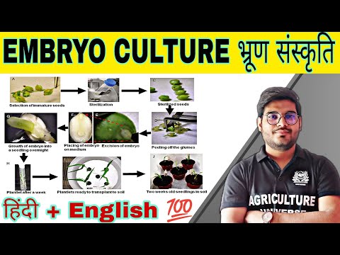 defination allopolyploid allopolyploid kya hai allopolyploid in hindi what is allopolyploid