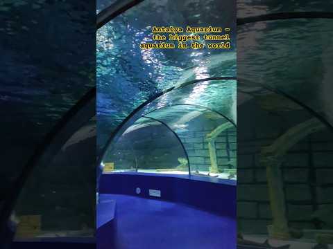 Antalya Aquarium - the biggest tunnel aquarium in the world
