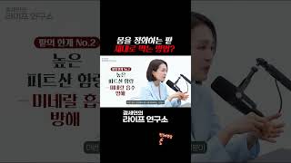 몸을 정화하는 팥을 제대로 먹는 방법?| 정세연의 라이프연구소