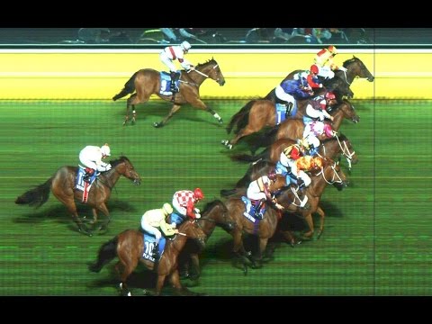 MANIKATO STAKES-24OCT MOONEE VALLEY