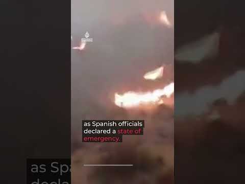 Bodies found in cars as deadly Spain wildfire kills at least 12
