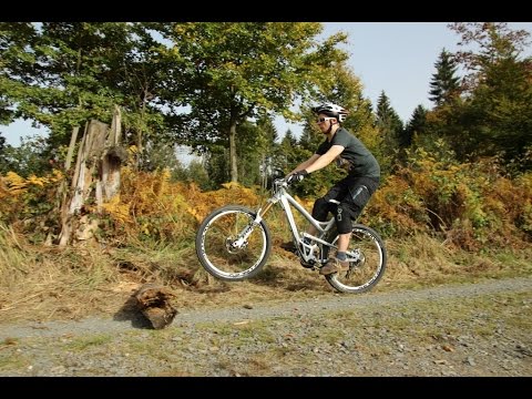 MTB Fahrtechnik - Top-Tipp # 1: Der Baumstamm