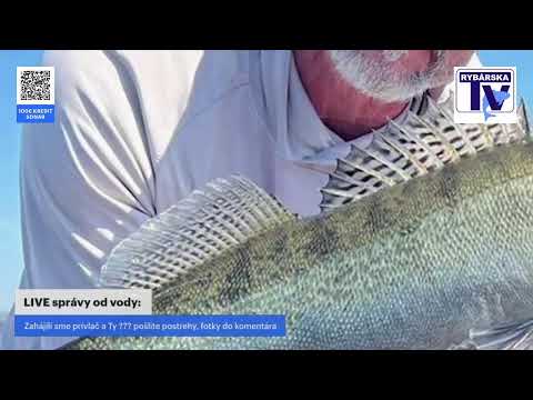 LIVE správy od vody: -zahájili sme prívlač a Ty ??? pošlite foto