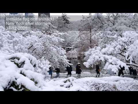 Inställda flyg och snötäckt New York efter stormen
