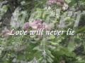 Love Will Never Lie