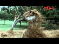 Raja Simham Songs Indumathi Chaarumathi Rajasekhar Soundarya
