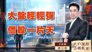 大盤輕輕彈 個股一片天｜大戶羅盤籌碼動能 ｜謝宗霖 (圖)