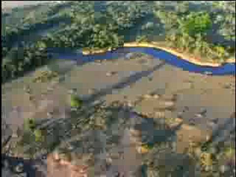 Fooled by Nature - Wildebeest Migration