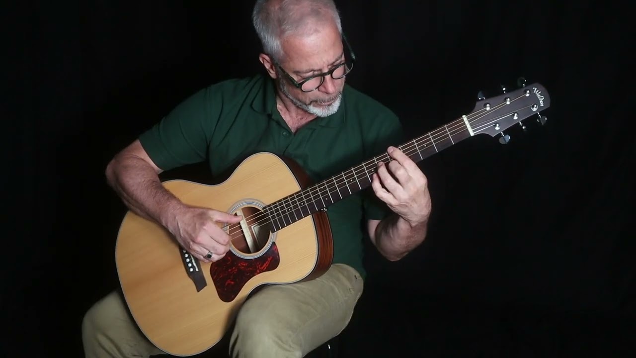  Sean Harkness On The Walden Guitars G550RE