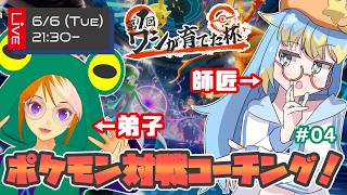 🔴【 #第1回ワシ弟子 】いよいよ来週が本番！　戦いまくれ！　#ワシが育てた杯　菊光アイトさん＆輝羅星そらのペア配信！【VTuber/菊光アイト/輝羅星そらの】