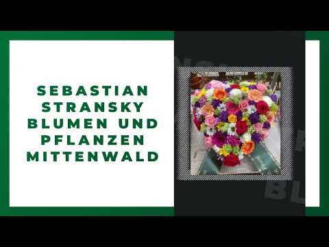 Blumen Sebastian Stransky YouTube-Vdeominiatur 11