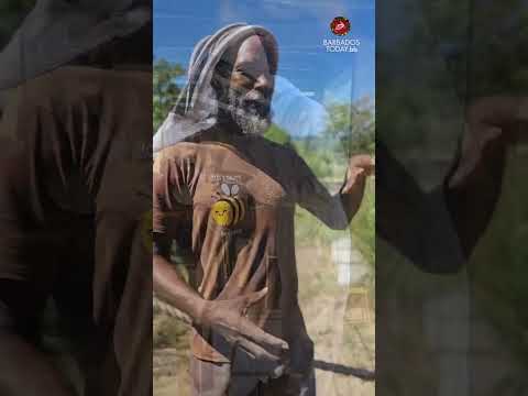 Buzzing with learning, students discover bees biodiversity role