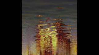 D'Eon - Palinopsia (2010) FULL ALBUM