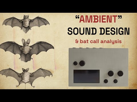 ambient talkie: ep 45 - so, you want to record bats? (part III)